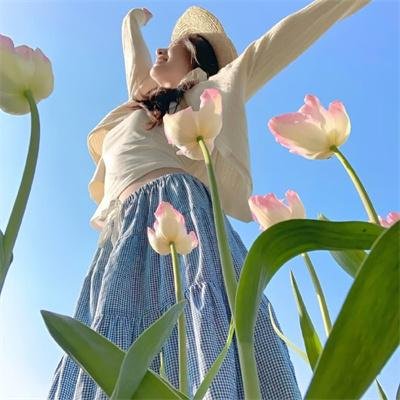 标本制作人